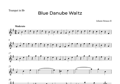 Blue Danube Waltz (arr. Alex Nunes Rodrigues)