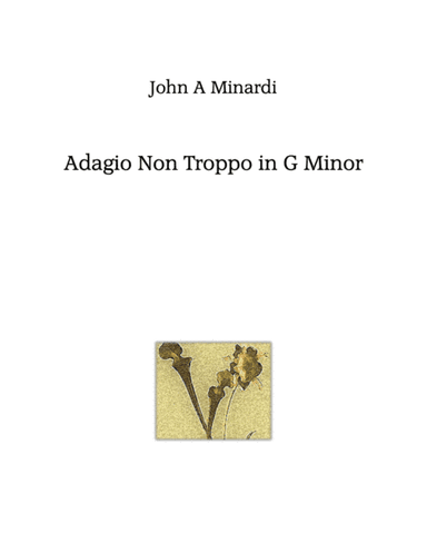 Adagio Non Troppo in G minor