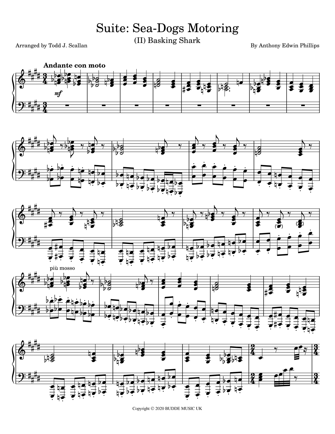 Basking Shark (arr. Todd J. Scallan)