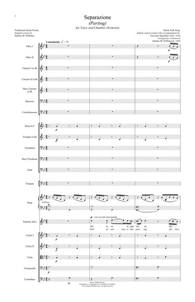Separazione (Parting) - Version for Voice and Orchestra (arr. Stanley M. Hoffman)