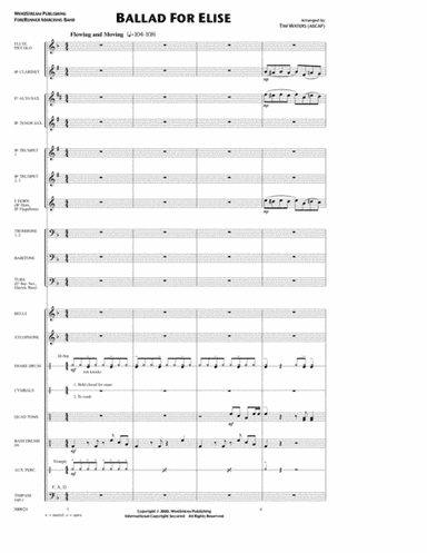 Ballad for Elise (arr. Tim Waters)