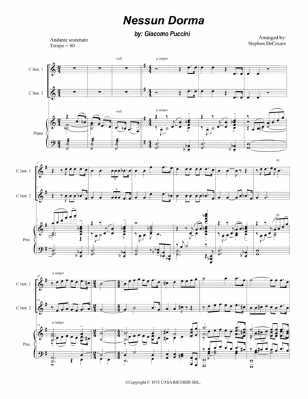 Nessun Dorma (arr. Stephen DeCesare)