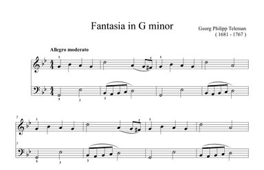 Telemann Fantasia in G minor (arr. Ben Choupak)