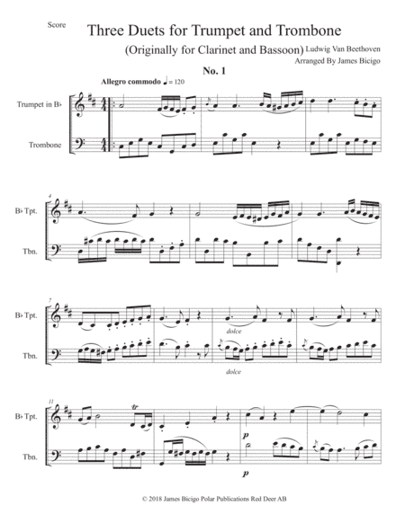 Duet No 1 (arr. James Bicigo)