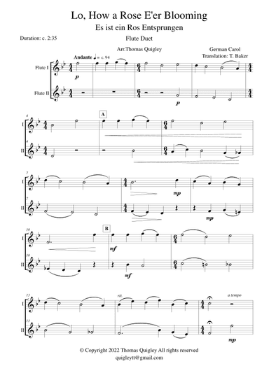 Lo, How a Rose E'er Blooming (arr. Thomas Quigley)