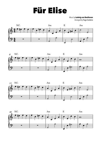 Für Elise (arr. Tiago Cordeiro)