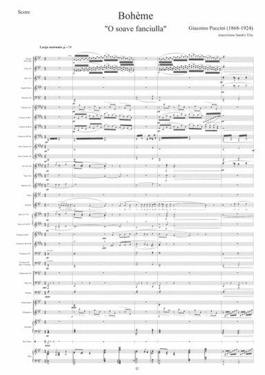 Bohème-"O soave fanciulla" (arr. Sandro Tilia)