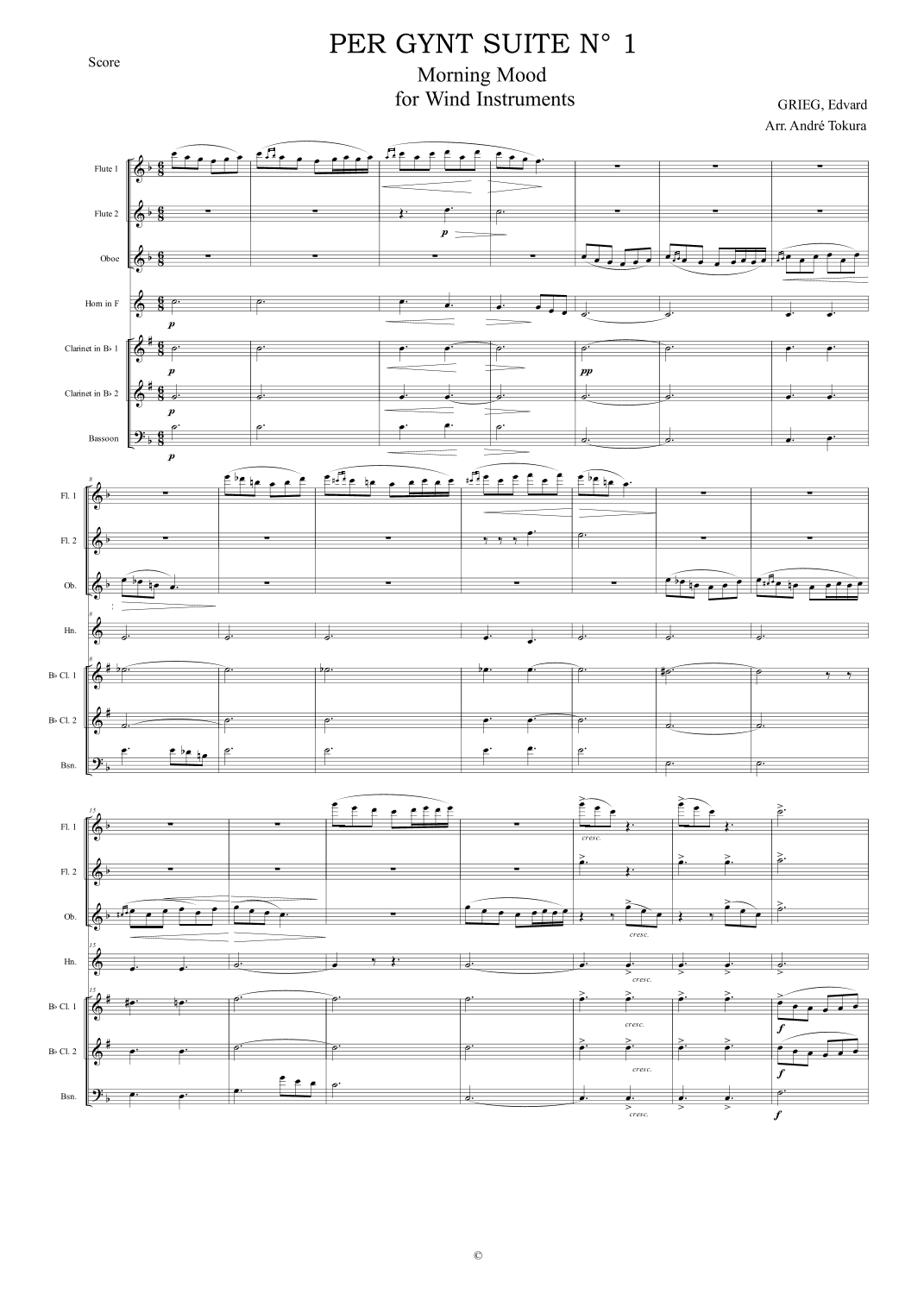 Morning Mood for Wind Instruments (arr. André Tokura)