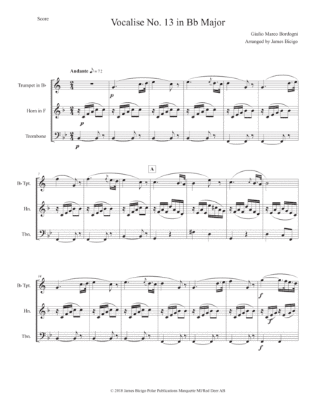 Vocalise No 13 in Bb Major (arr. James Bicigo)