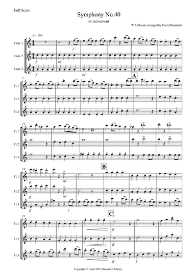 Symphony No.40 (1st movement) for Flute Trio (arr. David Burndrett)
