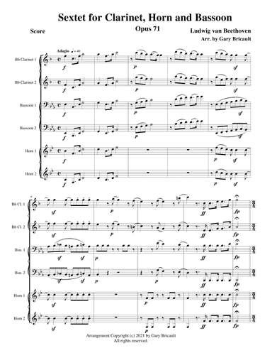 Sextet for Clarinet, Horn and Bassoon - Opus 71 (arr. Gary Bricault)
