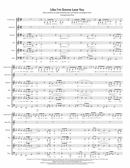 Like I'm Gonna Lose You (arr. Ben Bram)