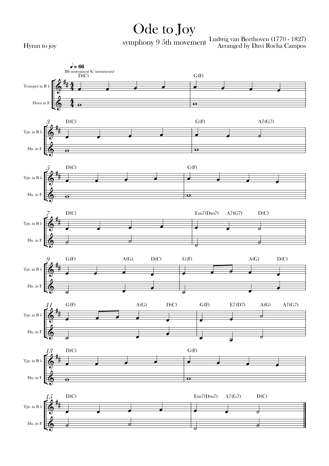 Ode To joy (Symphony 9 5th movement) (arr. Davi Rocha Campos)