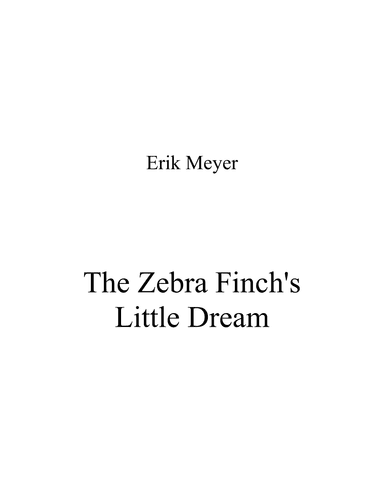 The Zebra Finch's Little Dream