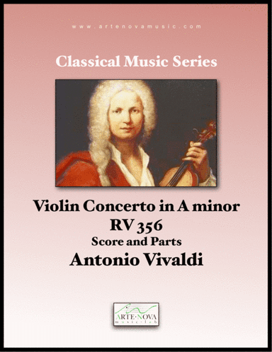 Violin Concerto in A minor RV 356 (arr. Arte Nova Music Lab)