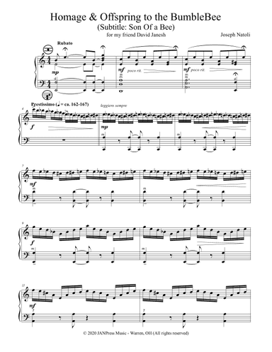 Homage & Offspring To the Bumblebee (standard bass accordion)