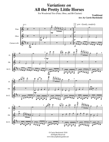 Variations on All the Pretty Little Horses - woodwind trio (arr. C. Burdzinski)