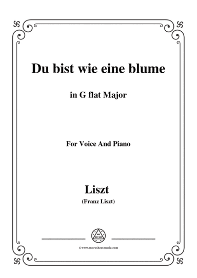 Liszt-Du bist wie eine blume in G flat Major,for Voice and Piano (arr. MSM)