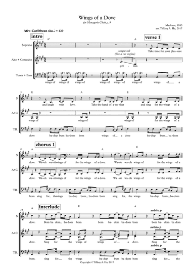 Wings Of A Dove (arr. Tiffany Ha)