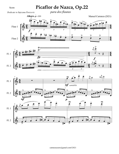 Picaflor de Nazca Op. 22 for two flutes