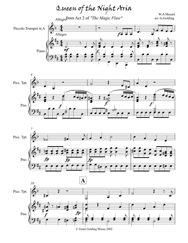 Queen of the Night Aria (arr. G.Golding)