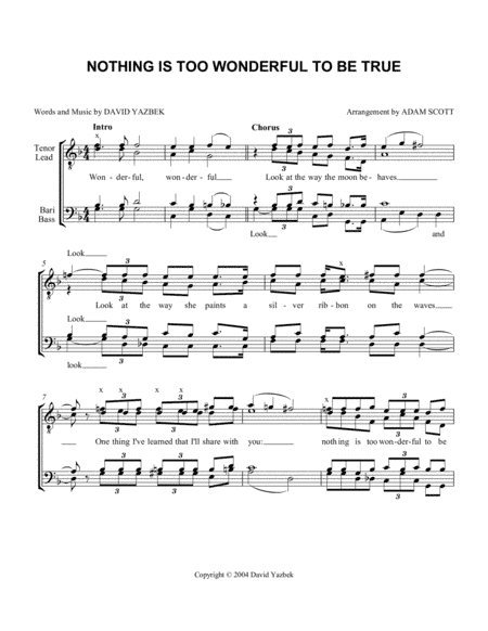 Nothing Is Too Wonderful To Be True (arr. Adam Scott)