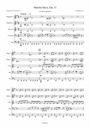 Marche Slave, Op. 31 - PI Tchaikovsky (arr. Peet du Toit)