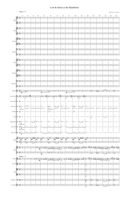 Lost And Alone At The Rainforest