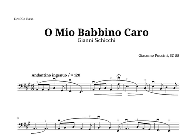 O Mio Babbino Caro by Puccini for Double Bass (arr. Langanho)