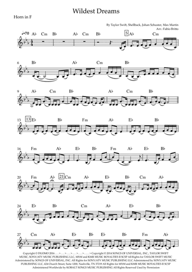 Wildest Dreams (arr. Fabio Britto)