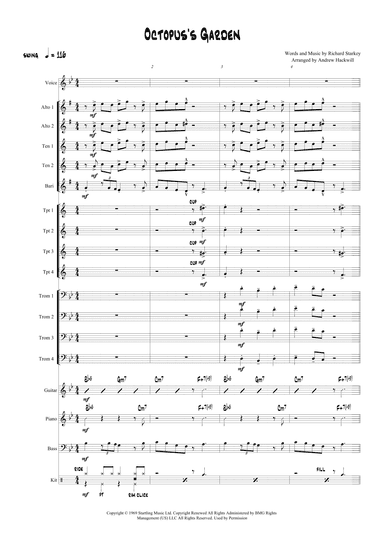 Octopus's Garden (arr. Andrew Hackwill)