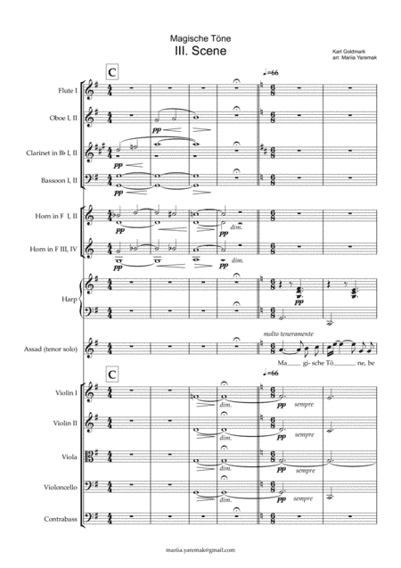 Magische Töne (arr. Mariia Yaremak)