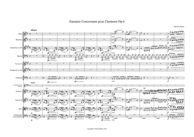Fantasia Concertante for Clarinet Op.6 (Matthieu Fillion)