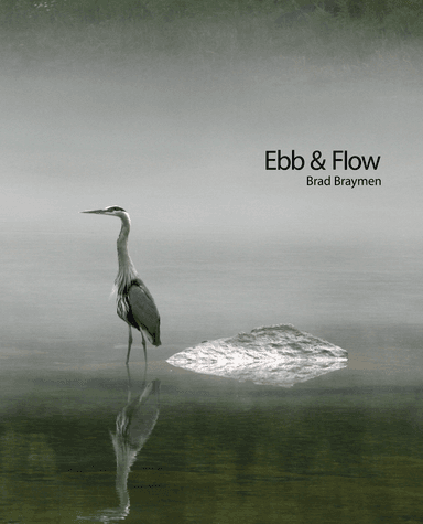 Ebb & Flow