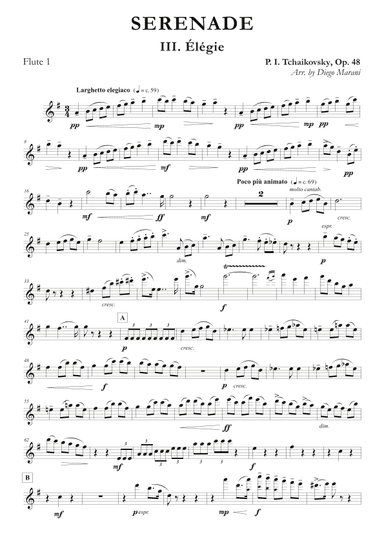 "Elegie" from Serenade Op. 48 for Flute Quartet (arr. Diego Marani)
