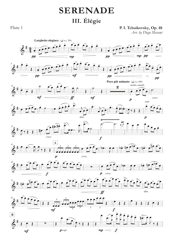 "Elegie" from Serenade Op. 48 for Flute Quartet (arr. Diego Marani)