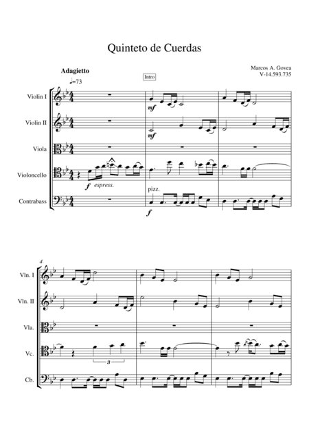 Quinteto de Cuerdas