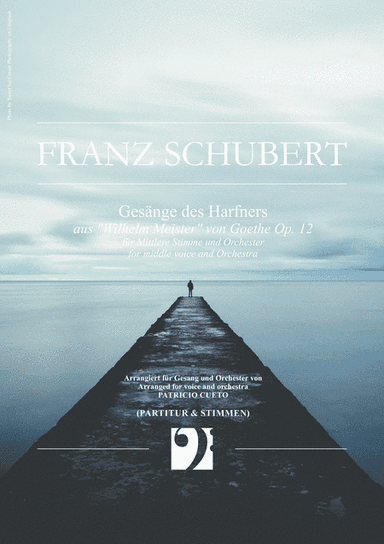 Gesänge des Harfners - for middle voice and orchestra (arr. Patricio Cueto)