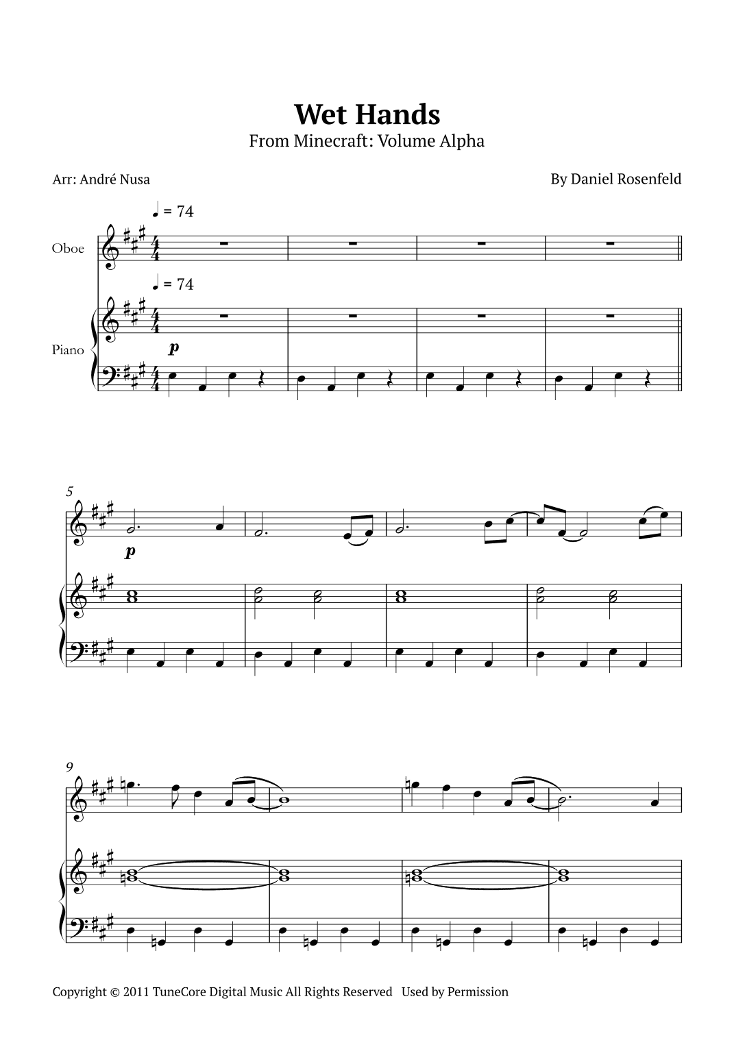 Wet Hands (arr. André Nusa)