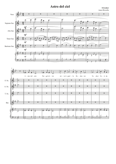 Stille Nacht (arr. Antonello Rizzella)
