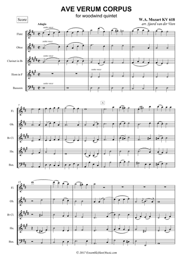Ave Verum Corpus (arr. Sjoerd van der Veen)