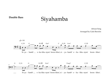 Siyahamba - Double Bass and chords (African Song) (arr. Cadu Barcelos)