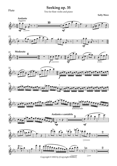 Sally Wave - Seeking - Flute part from trio for flute, violin and piano op.35