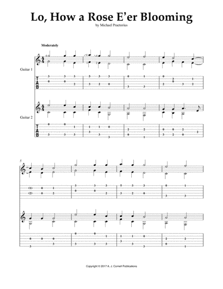 Lo, How a Rose E'er Blooming (arr. Mark Phillips)