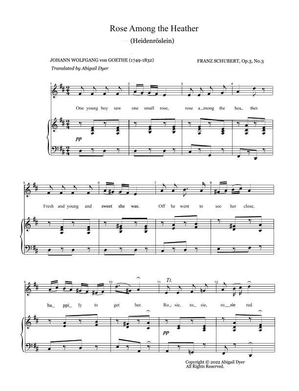 Heidenröslein (Rose Among the Heather) English Version (arr. Abigail Dyer)