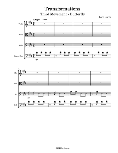 Transformations - Butterfly