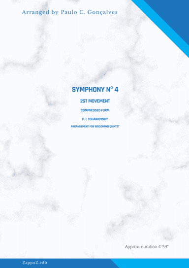 SYMPHONY Nº 4 - 2st Movement - P. I. TCHAIKOVSKY (arr. Paulo C. Gonçalves)