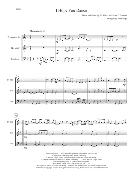 I Hope You Dance (arr. Jim Bicigo)