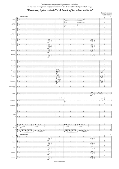 Symphonic variations 'Kitchitse, buyna loboda' ('A bunch of luxuriant saltbush')