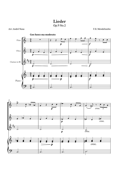 Lieder Op.9 No.2 (arr. André Nusa)